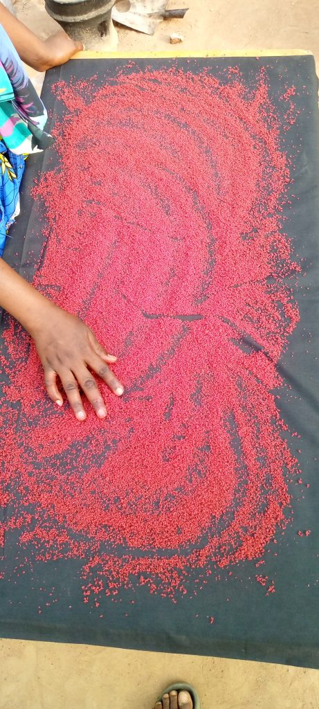 AON - Relance du Mouvement Salésien des Jeunes à Touba : 32 jeunes mobilisés pour l’avenir